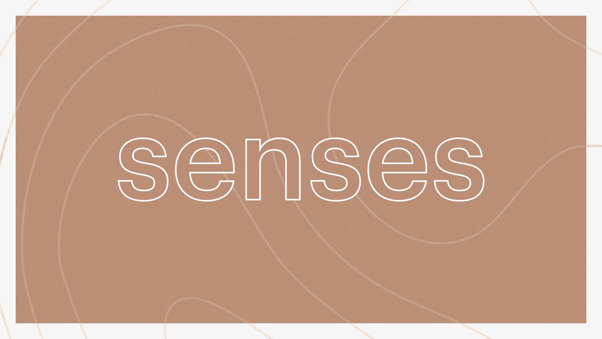 5SS - Five Senses Shelter - Detalhe 10 - LOBA.cx